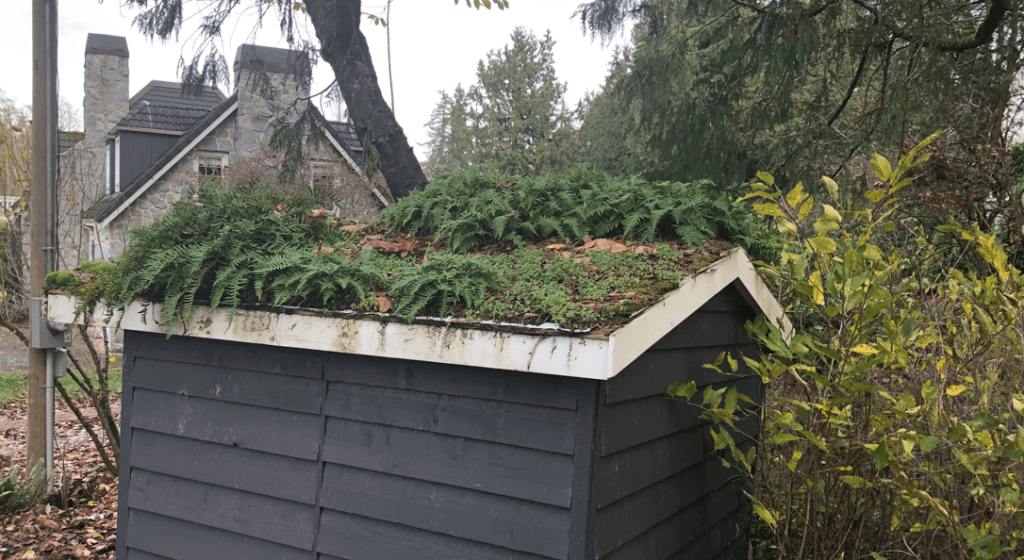 Things About ROTban That Property Managers Appreciate